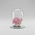 Glass Cloche Floral Display Dome