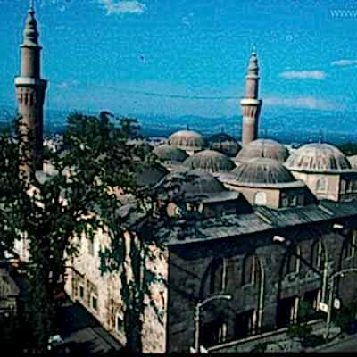 Bursa
